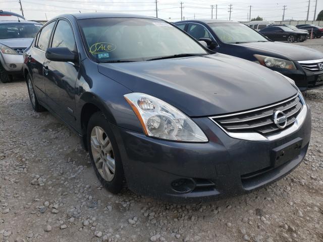 NISSAN ALTIMA HYB 2010 1n4cl2ap7ac164413