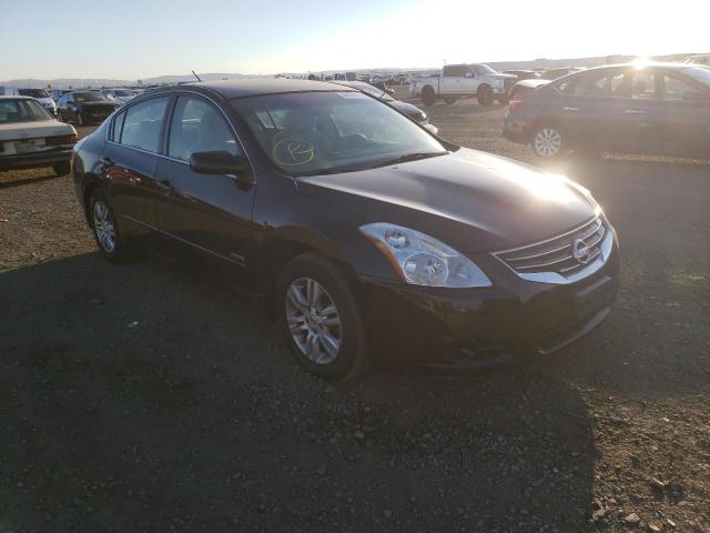 NISSAN ALTIMA HYB 2010 1n4cl2ap8ac100414