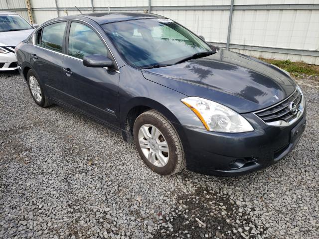 NISSAN ALTIMA HYB 2010 1n4cl2ap8ac141187