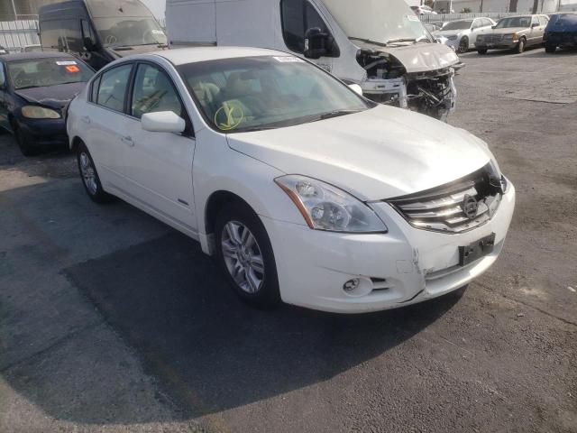 NISSAN ALTIMA HYB 2010 1n4cl2ap8ac155106