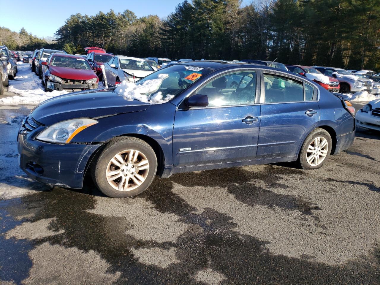 NISSAN ALTIMA 2010 1n4cl2ap8ac172603