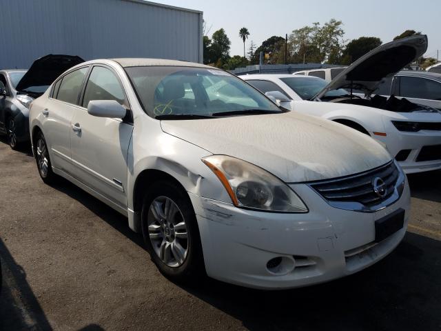 NISSAN ALTIMA HYB 2010 1n4cl2ap9ac157155