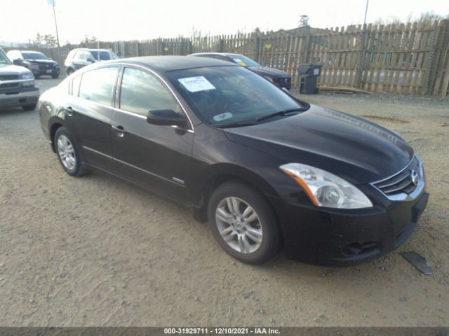 NISSAN ALTIMA 2011 1n4cl2ap9bc185197