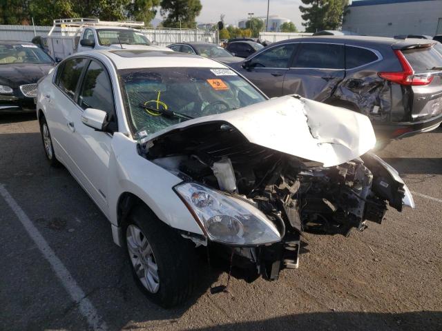 NISSAN ALTIMA HYB 2011 1n4cl2ap9bc185622