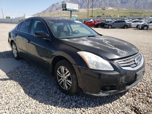 NISSAN ALTIMA HYB 2010 1n4cl2apxac128781