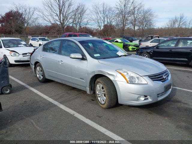 NISSAN ALTIMA 2010 1n4cl2apxac183988