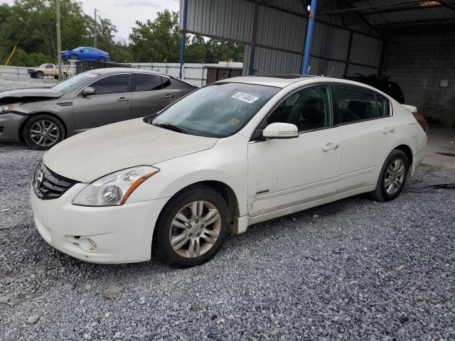 NISSAN ALTIMA HYB 2010 1n4cl2apxac185630