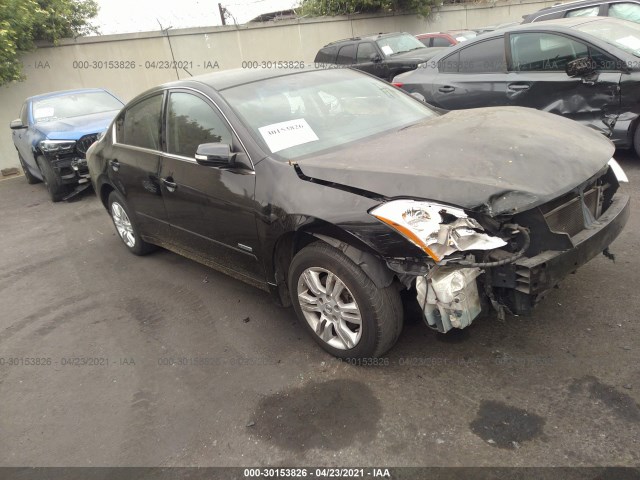 NISSAN ALTIMA 2011 1n4cl2apxbc103381