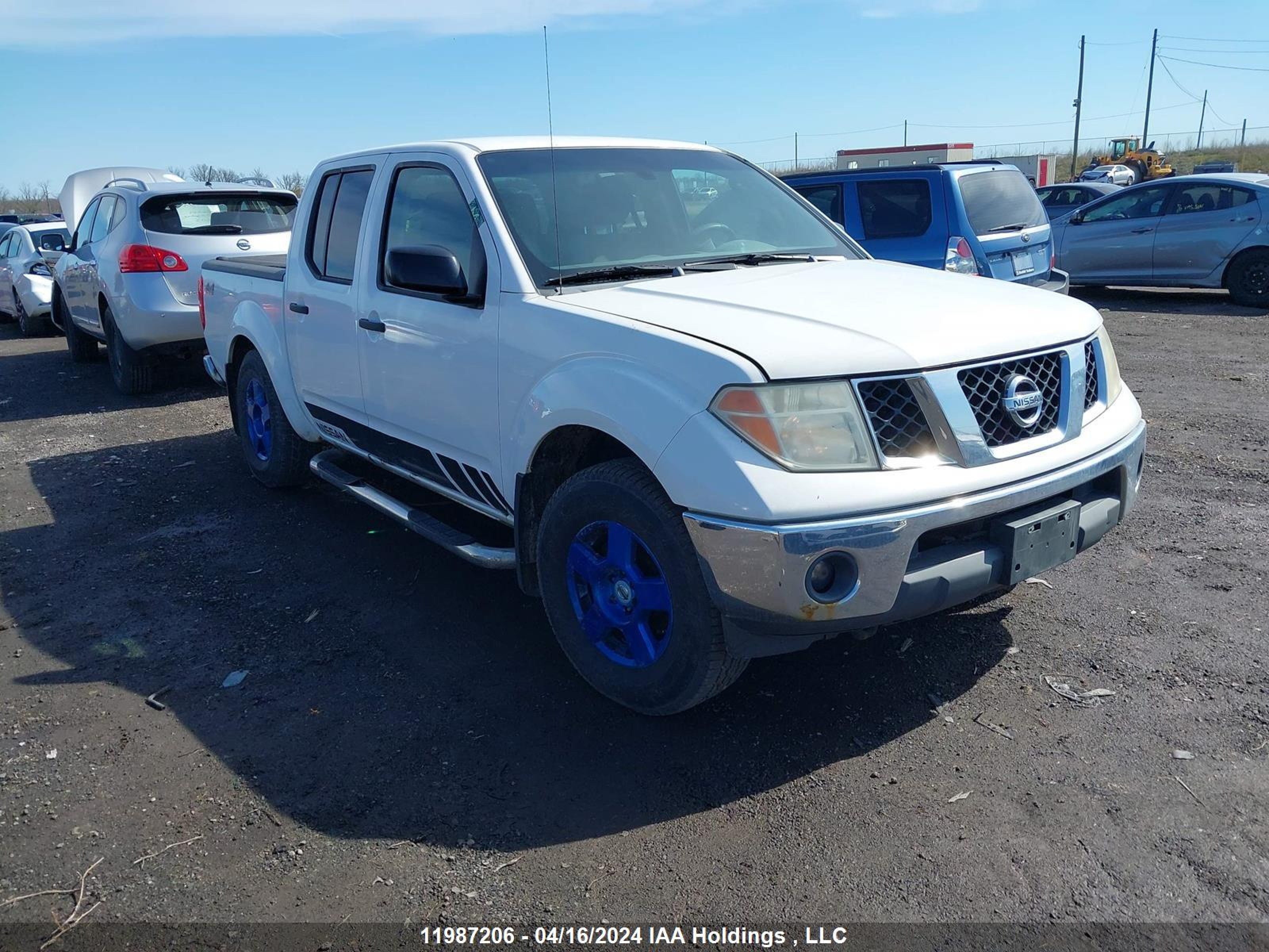 NISSAN NAVARA (FRONTIER) 2005 1n6ad07w25c465482