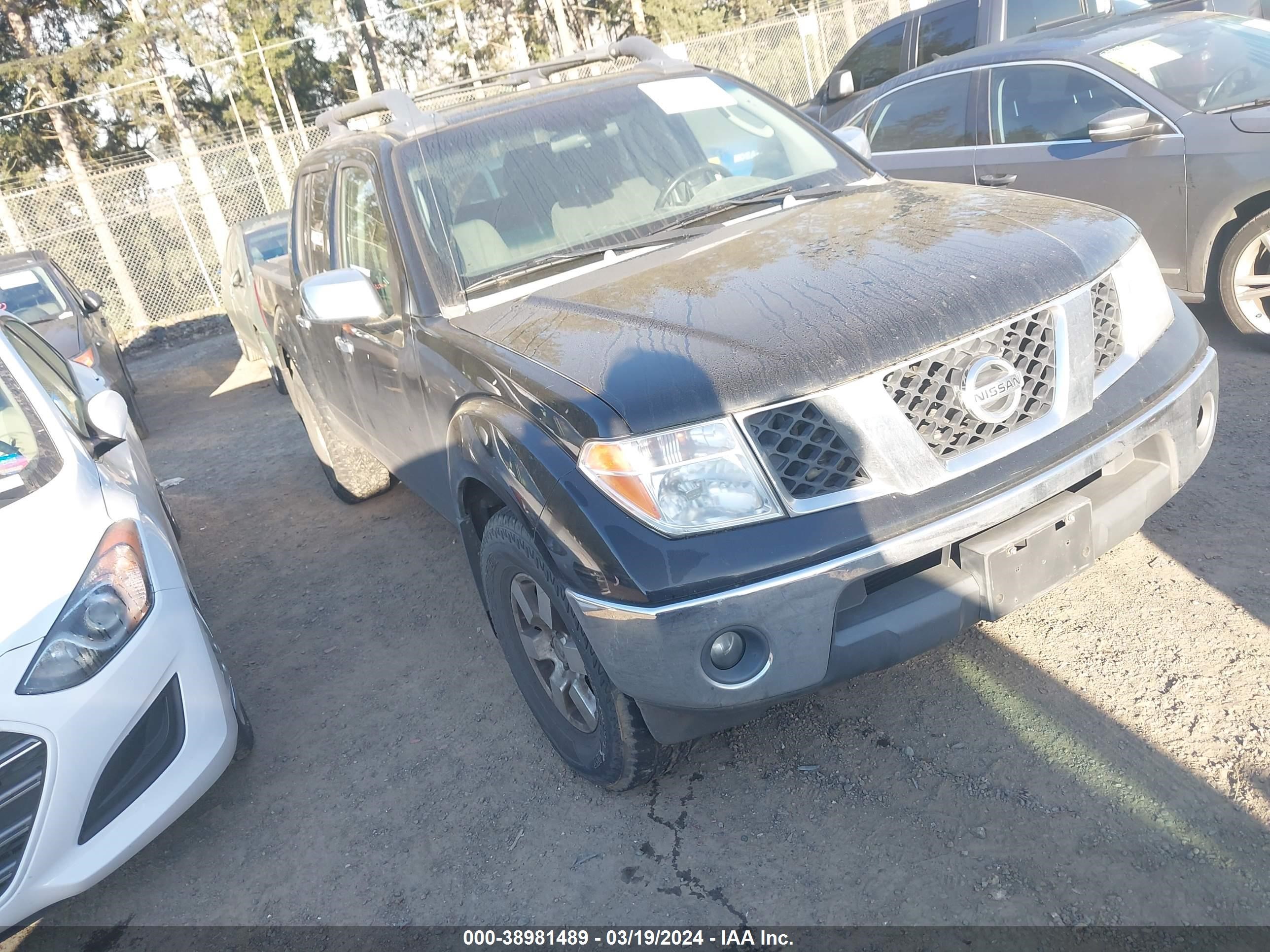 NISSAN NAVARA (FRONTIER) 2006 1n6ad07w76c469691