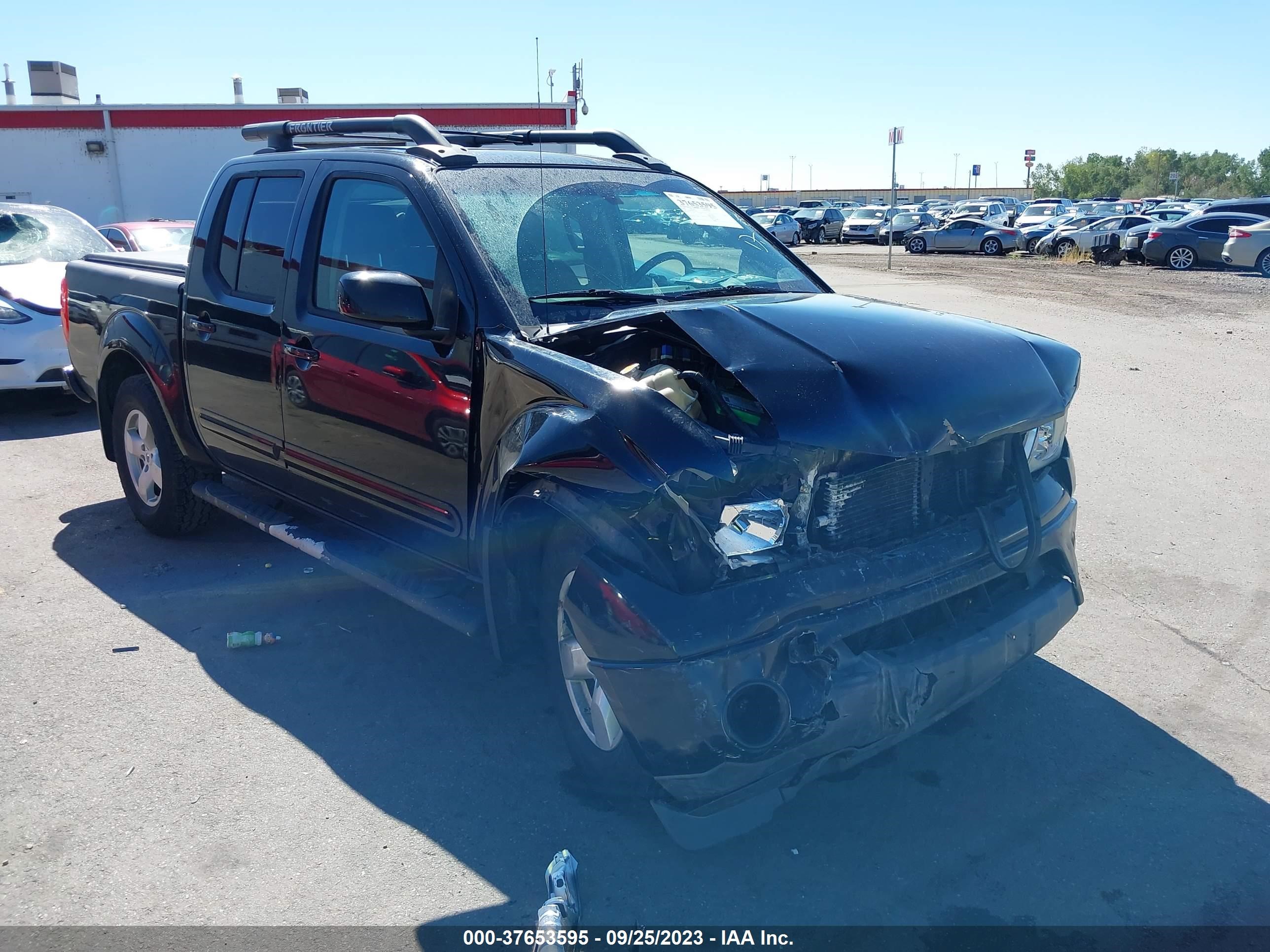 NISSAN NAVARA (FRONTIER) 2006 1n6ad07w86c404557