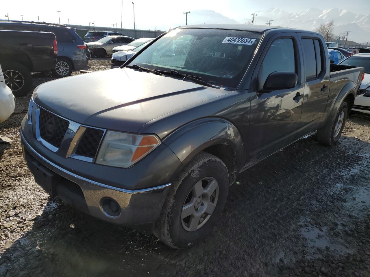 NISSAN NAVARA (FRONTIER) 2008 1n6ad09u18c437155