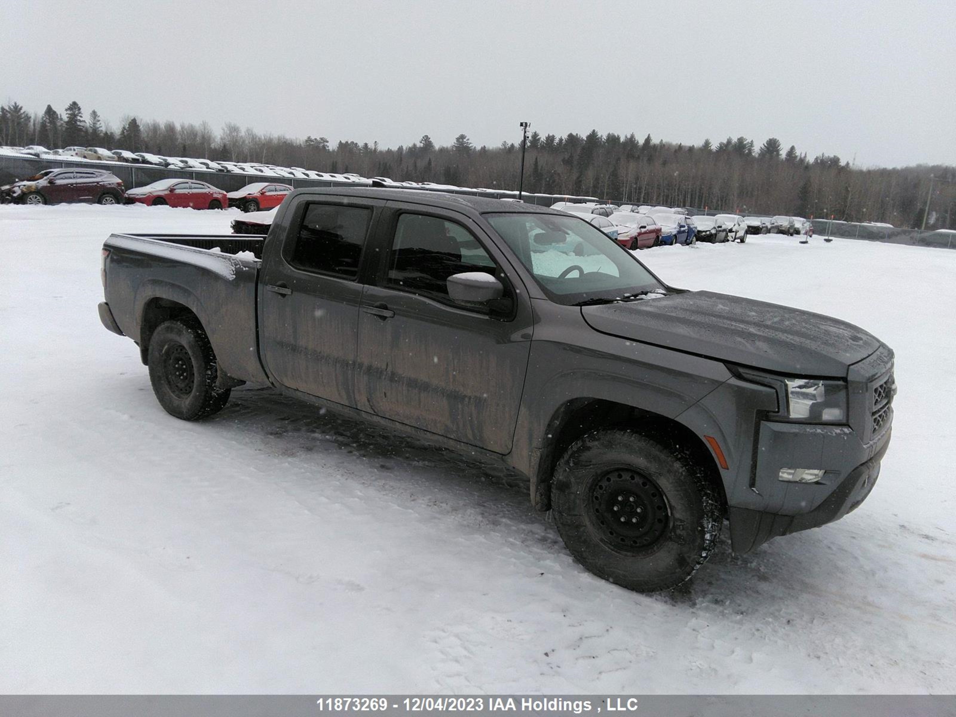 NISSAN NAVARA (FRONTIER) 2022 1n6ed1fk6nn605611