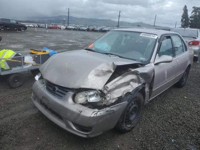 TOYOTA COROLLA 2001 1nxbr12e01z428184