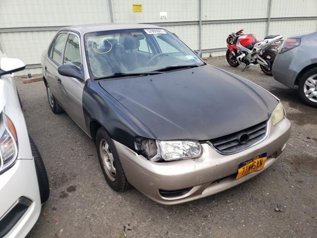 TOYOTA COROLLA 2002 1nxbr12e12z641016