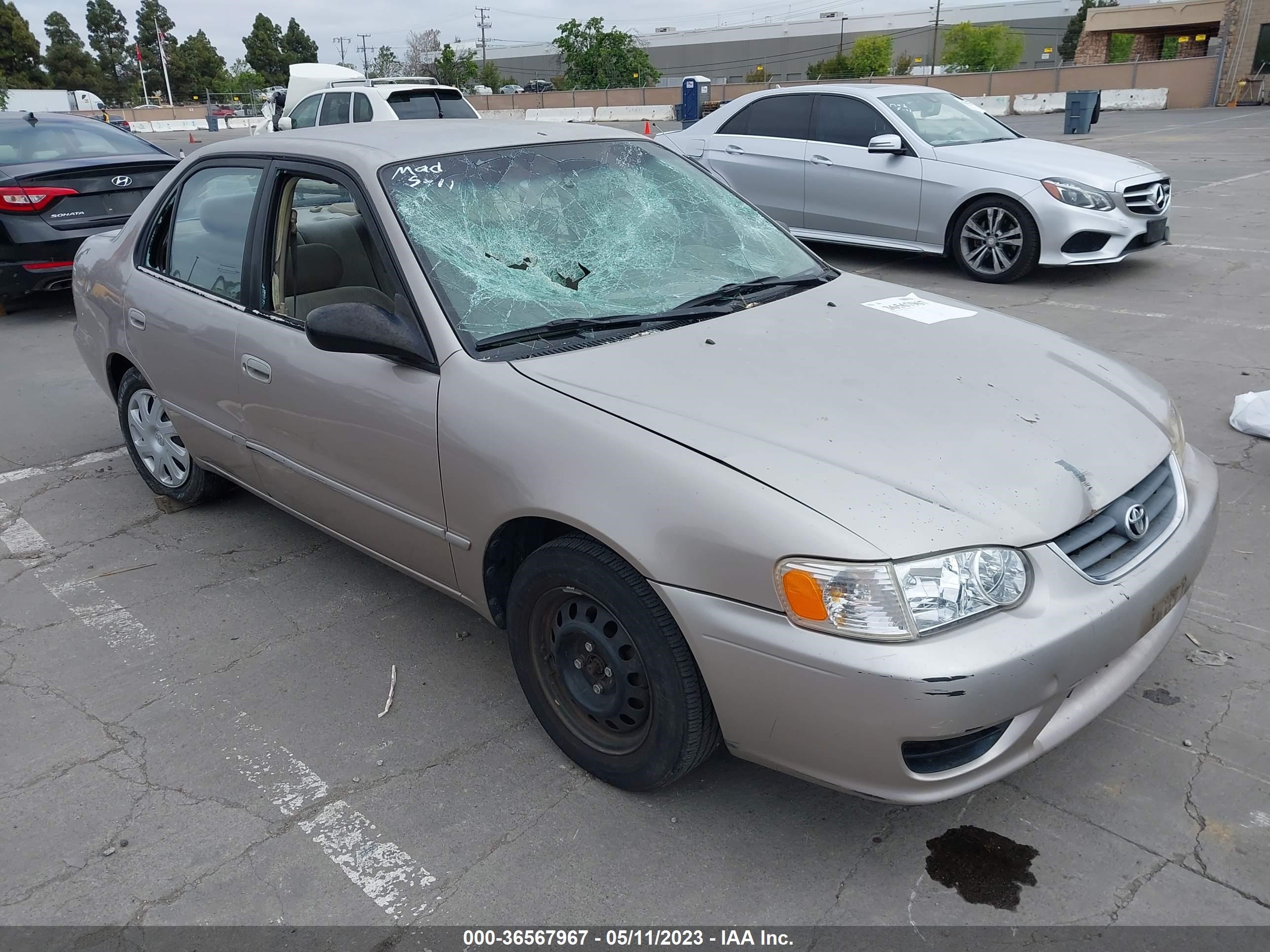 TOYOTA COROLLA 2001 1nxbr12e21z501331