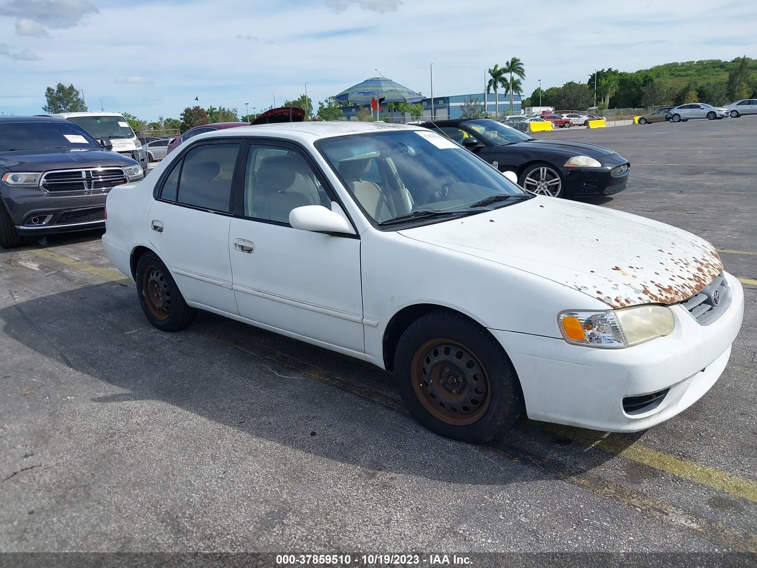 TOYOTA COROLLA 2002 1nxbr12e32z586309