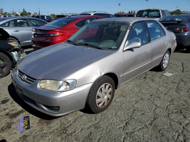 TOYOTA COROLLA 2001 1nxbr12e51z455994