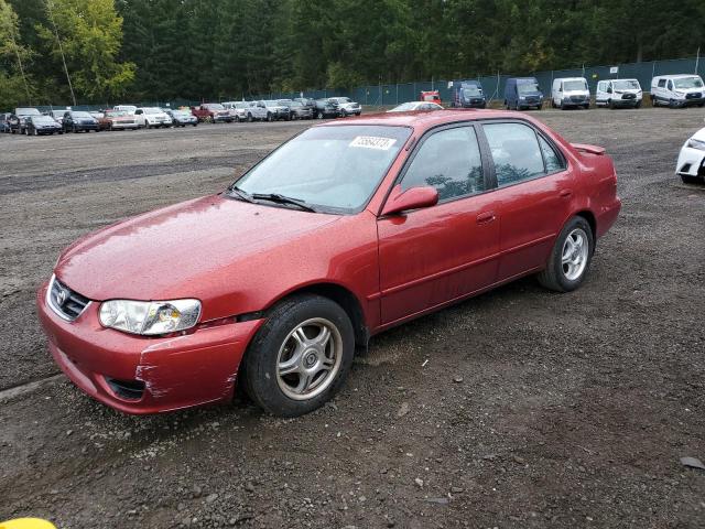 TOYOTA COROLLA 2001 1nxbr12e91z503013