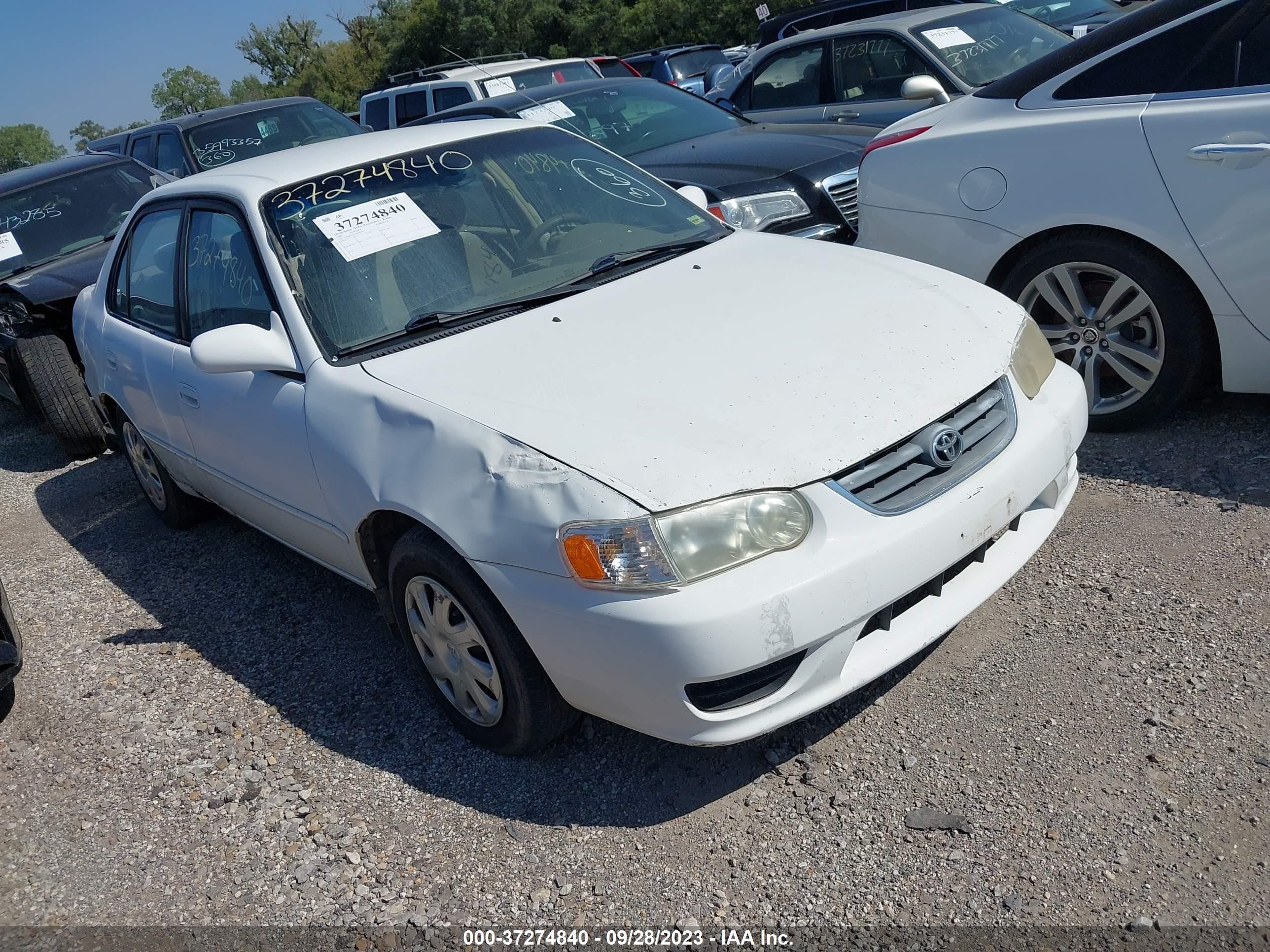 TOYOTA COROLLA 2002 1nxbr12e92z609558