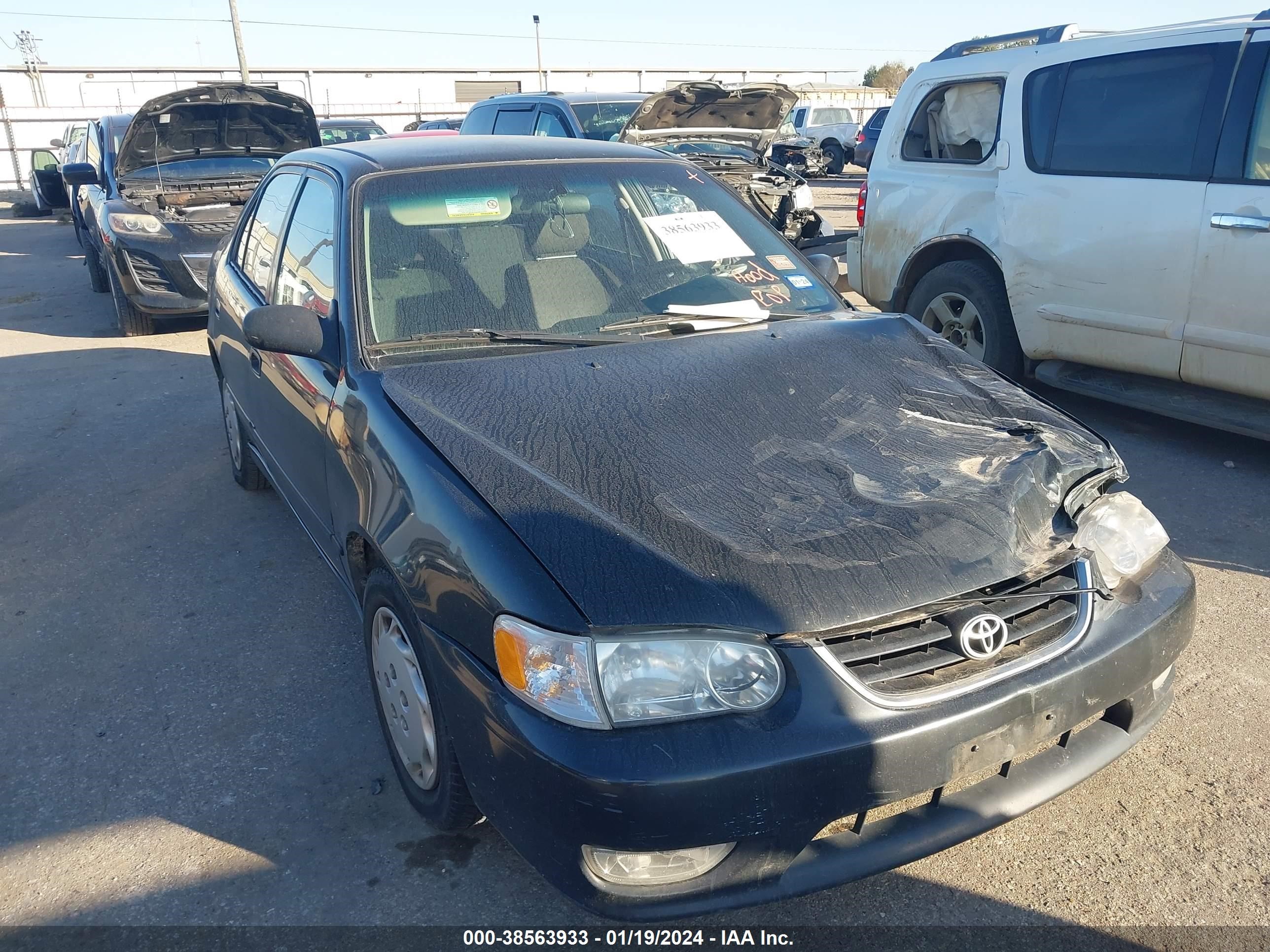 TOYOTA COROLLA 2002 1nxbr12e92z646478