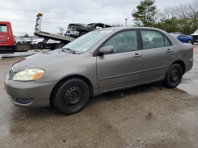 TOYOTA COROLLA 2005 1nxbr30e65z556191