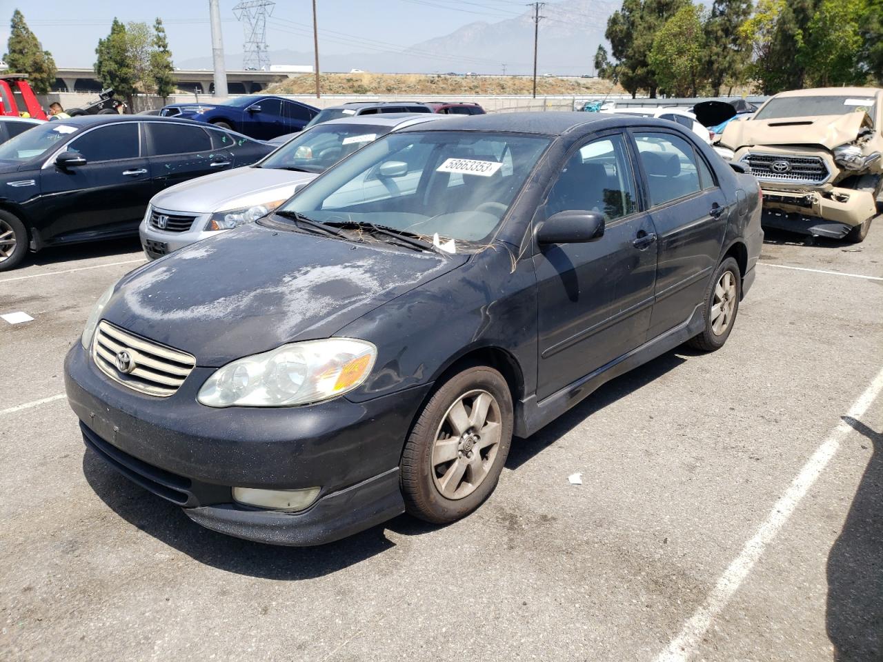 TOYOTA COROLLA 2003 1nxbr32e23z058919