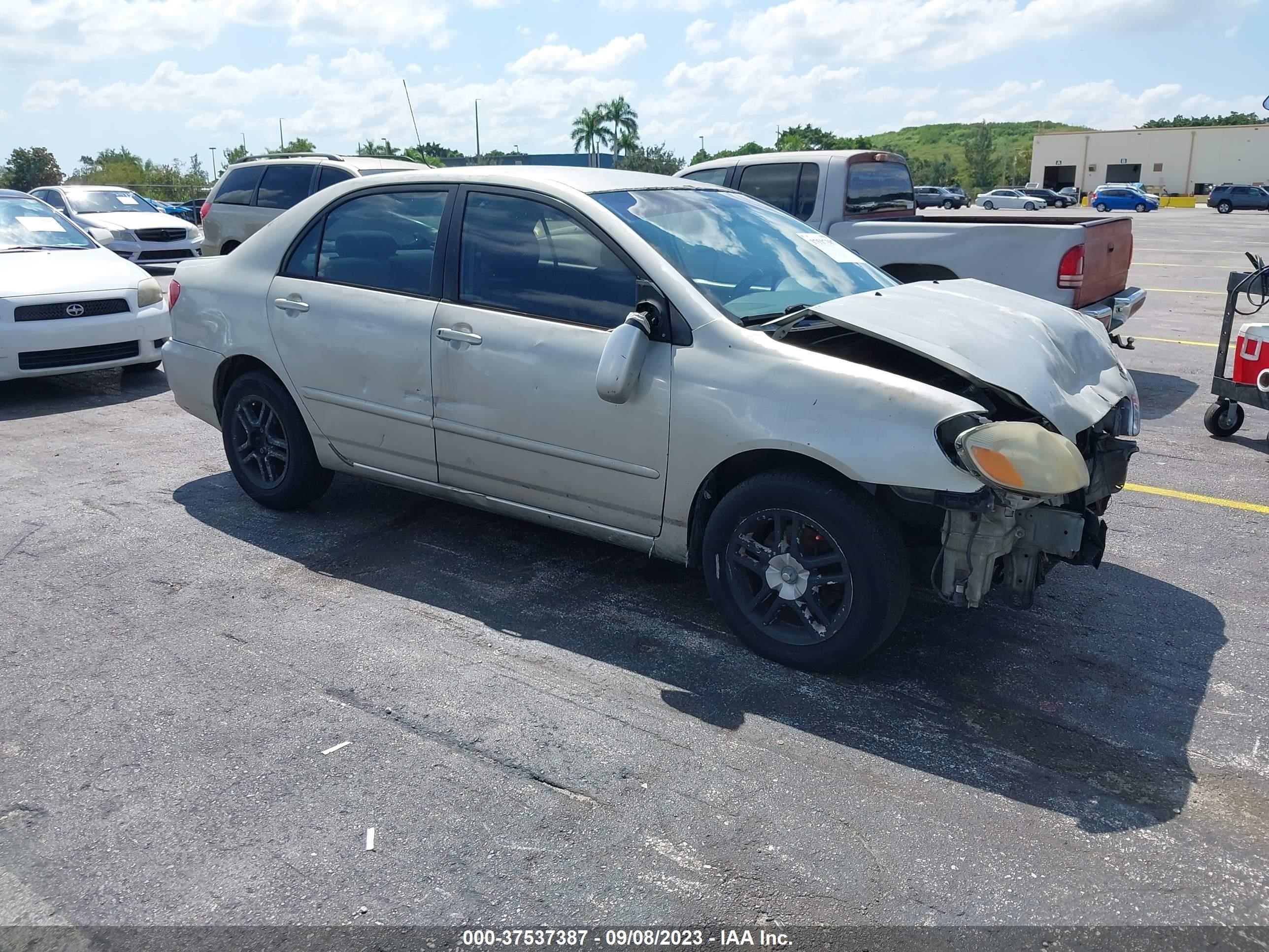 TOYOTA COROLLA 2003 1nxbr32e33z113457