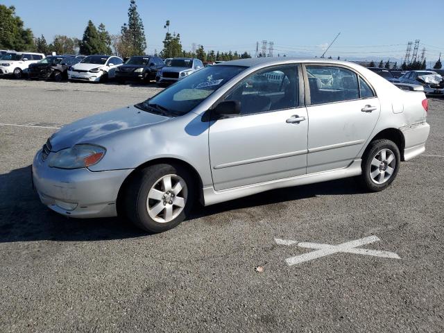 TOYOTA COROLLA 2003 1nxbr32e33z176221