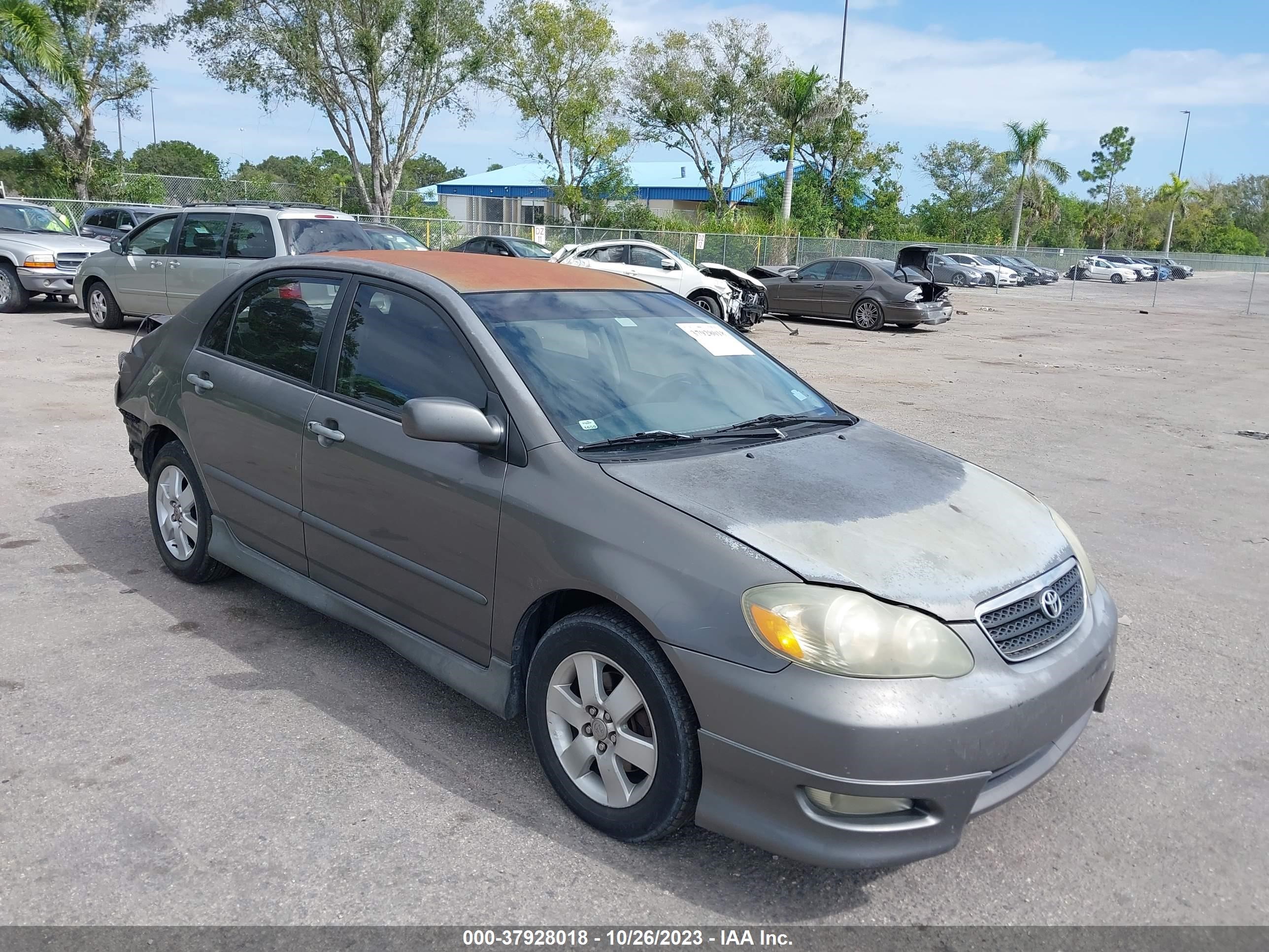 TOYOTA COROLLA 2006 1nxbr32e36z584092