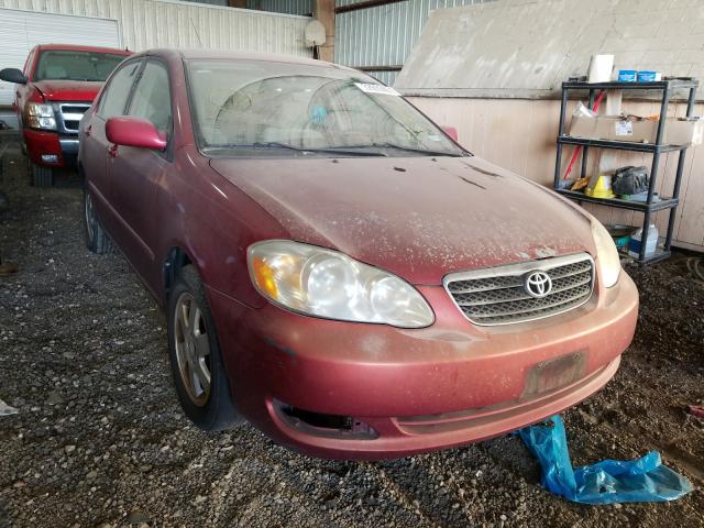 TOYOTA COROLLA 2006 1nxbr32e36z724514