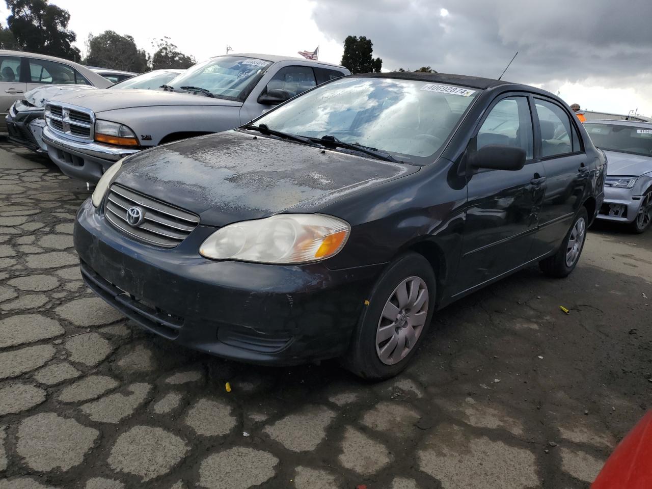 TOYOTA COROLLA 2004 1nxbr32e44z256354