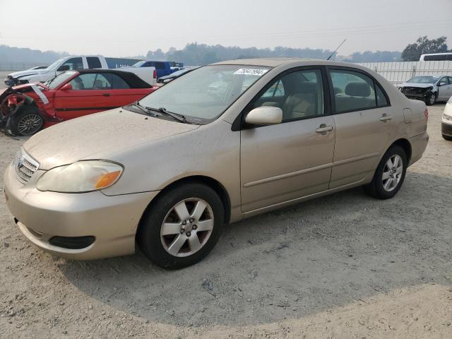 TOYOTA COROLLA CE 2006 1nxbr32e46z600462