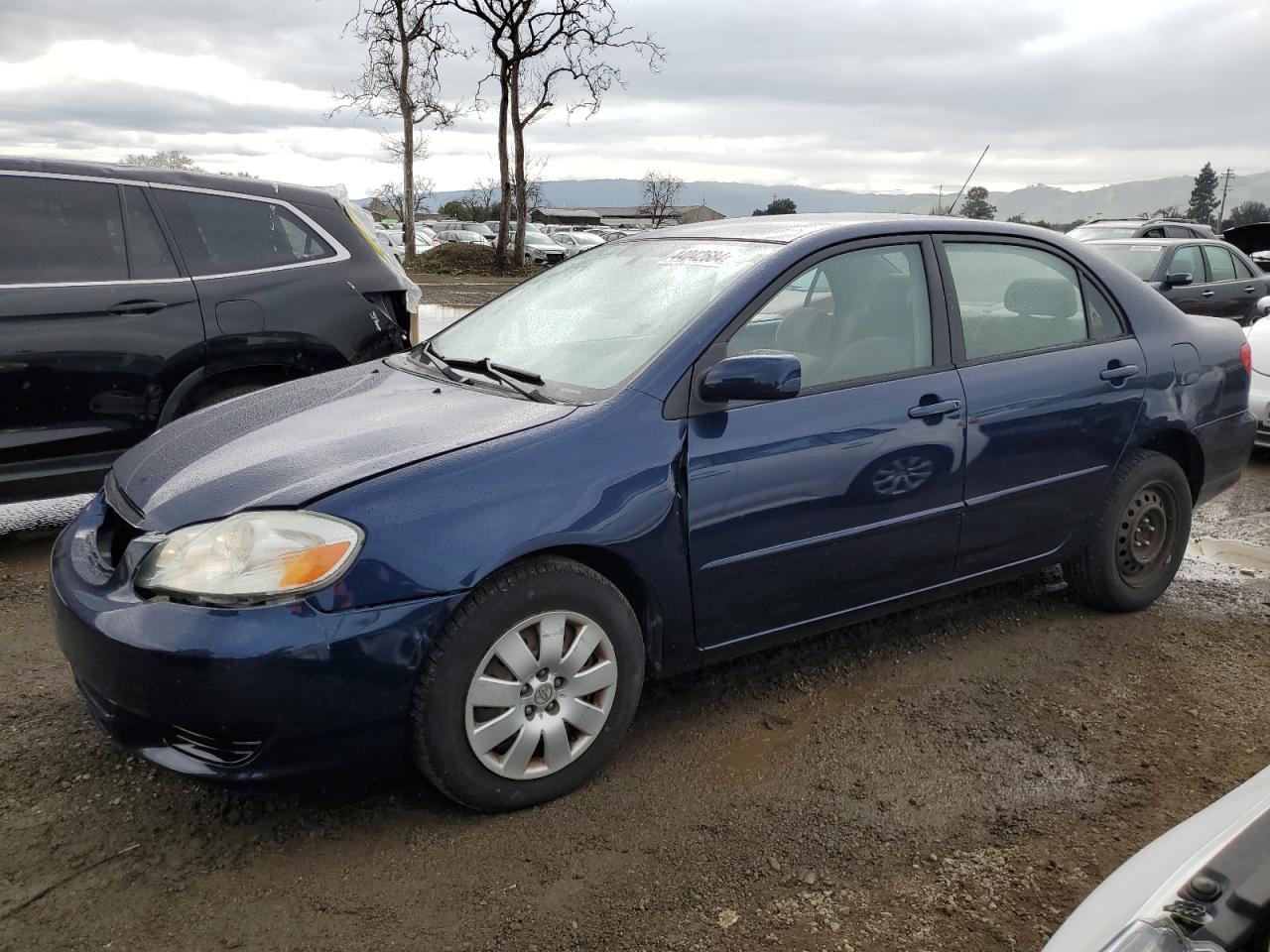 TOYOTA COROLLA 2003 1nxbr32ex3z082045