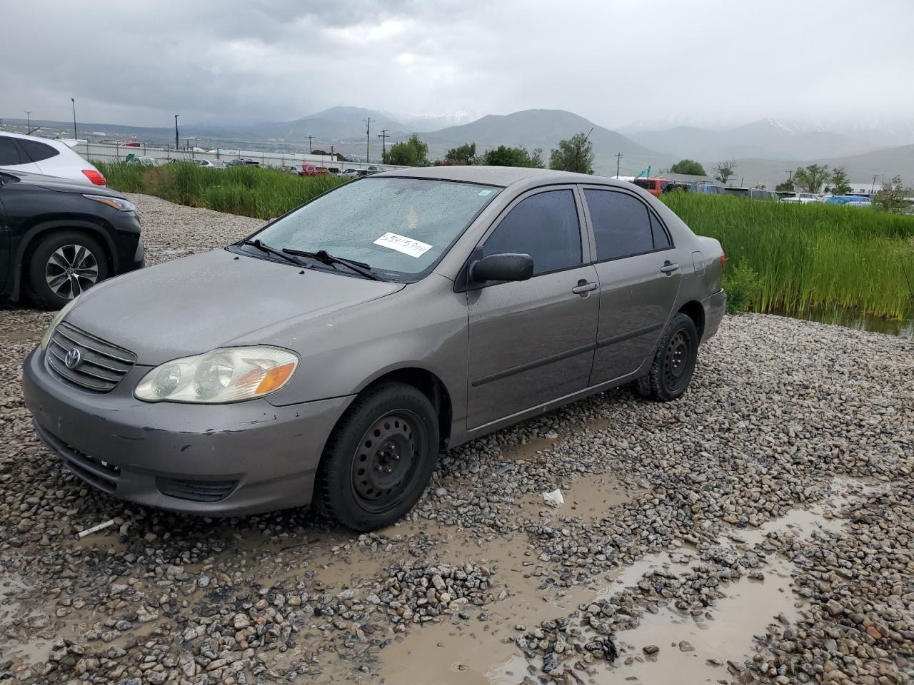 TOYOTA COROLLA 2003 1nxbr32ex3z185546