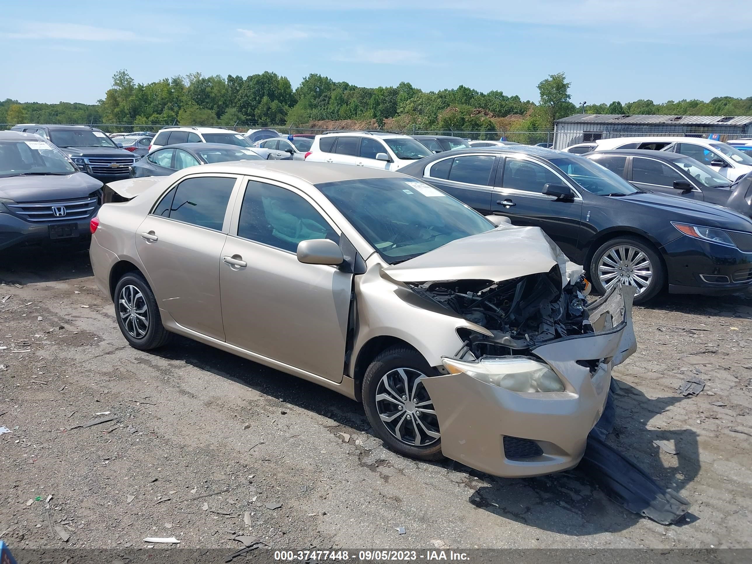 TOYOTA COROLLA 2009 1nxbu40e09z044579