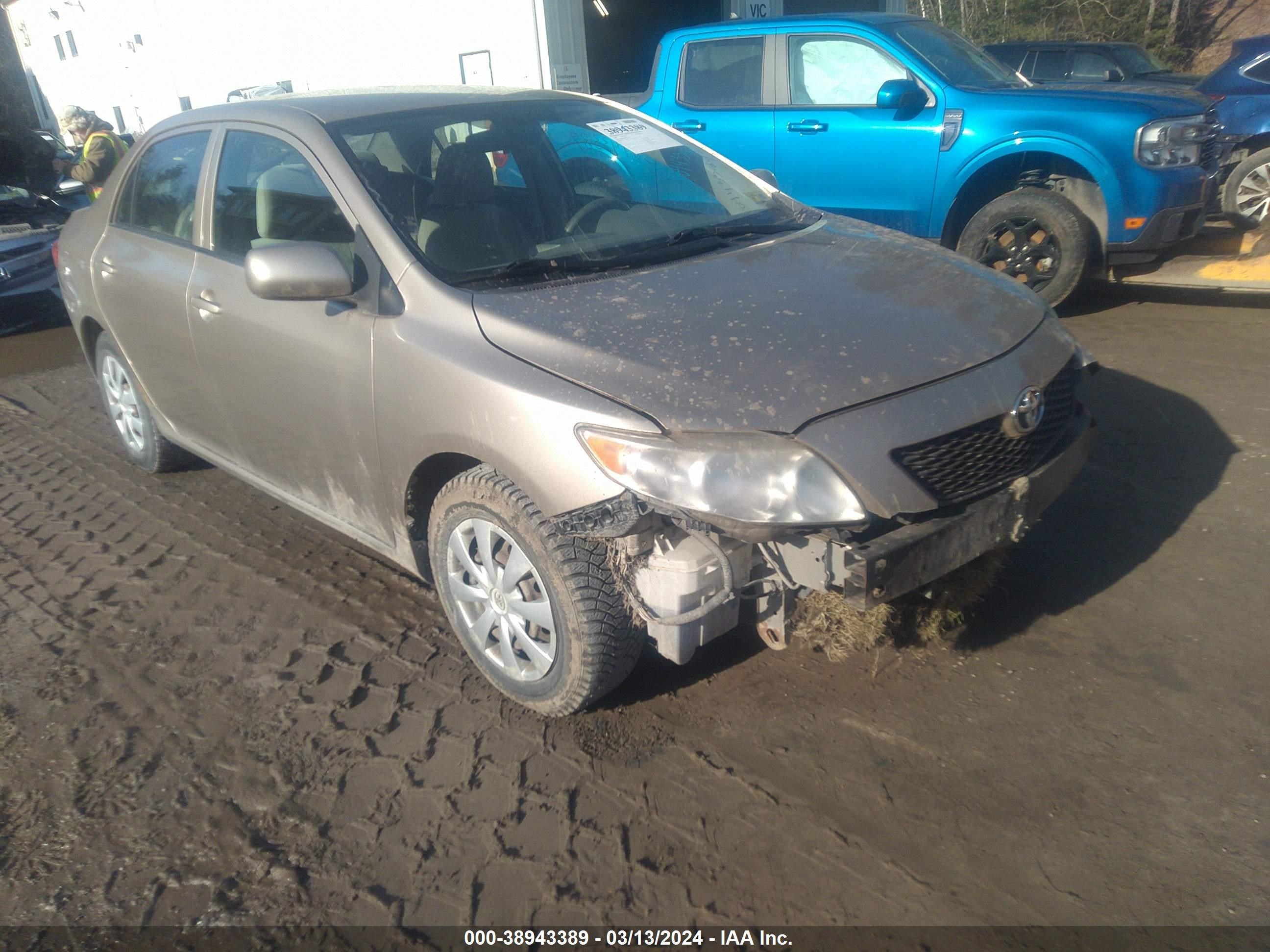 TOYOTA COROLLA 2009 1nxbu40e09z132404