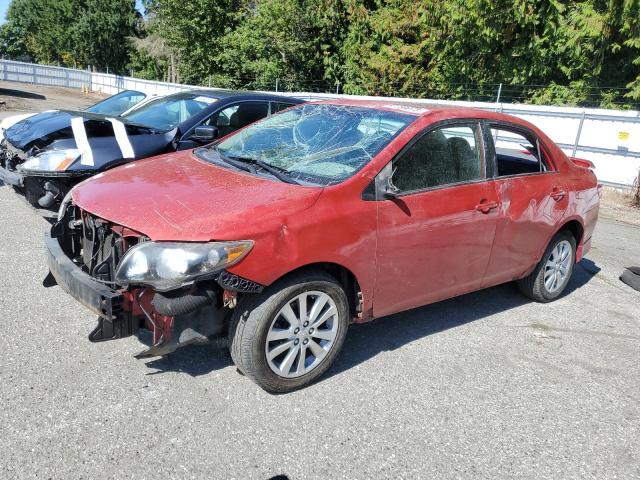 TOYOTA COROLLA BA 2009 1nxbu40e19z008125