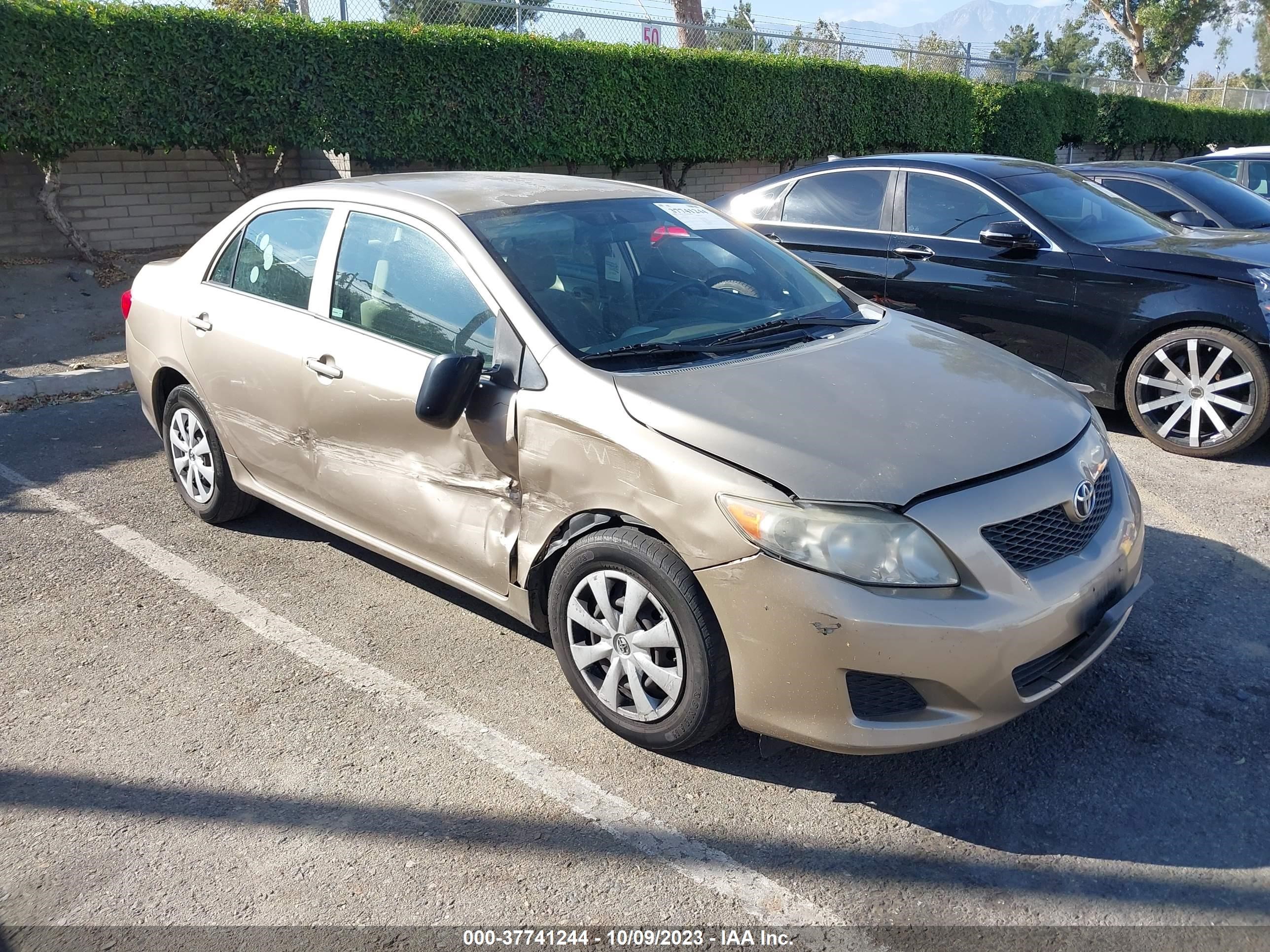 TOYOTA COROLLA 2009 1nxbu40e19z080717