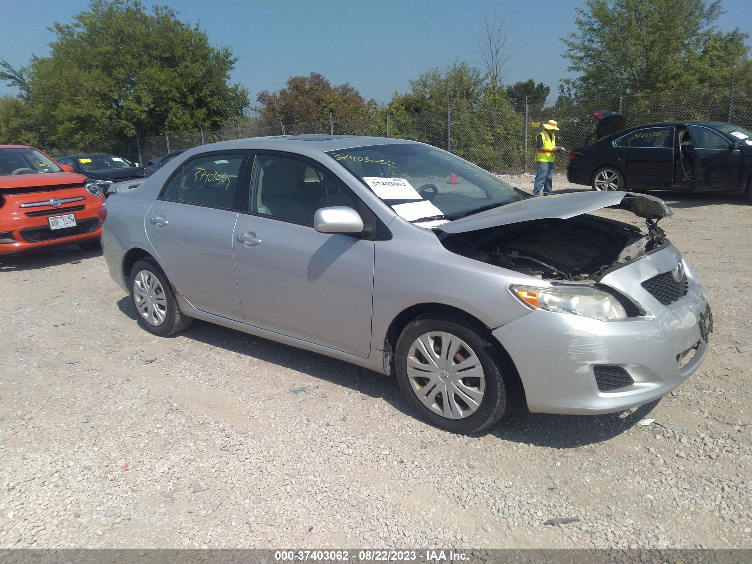 TOYOTA COROLLA 2009 1nxbu40e39z053485