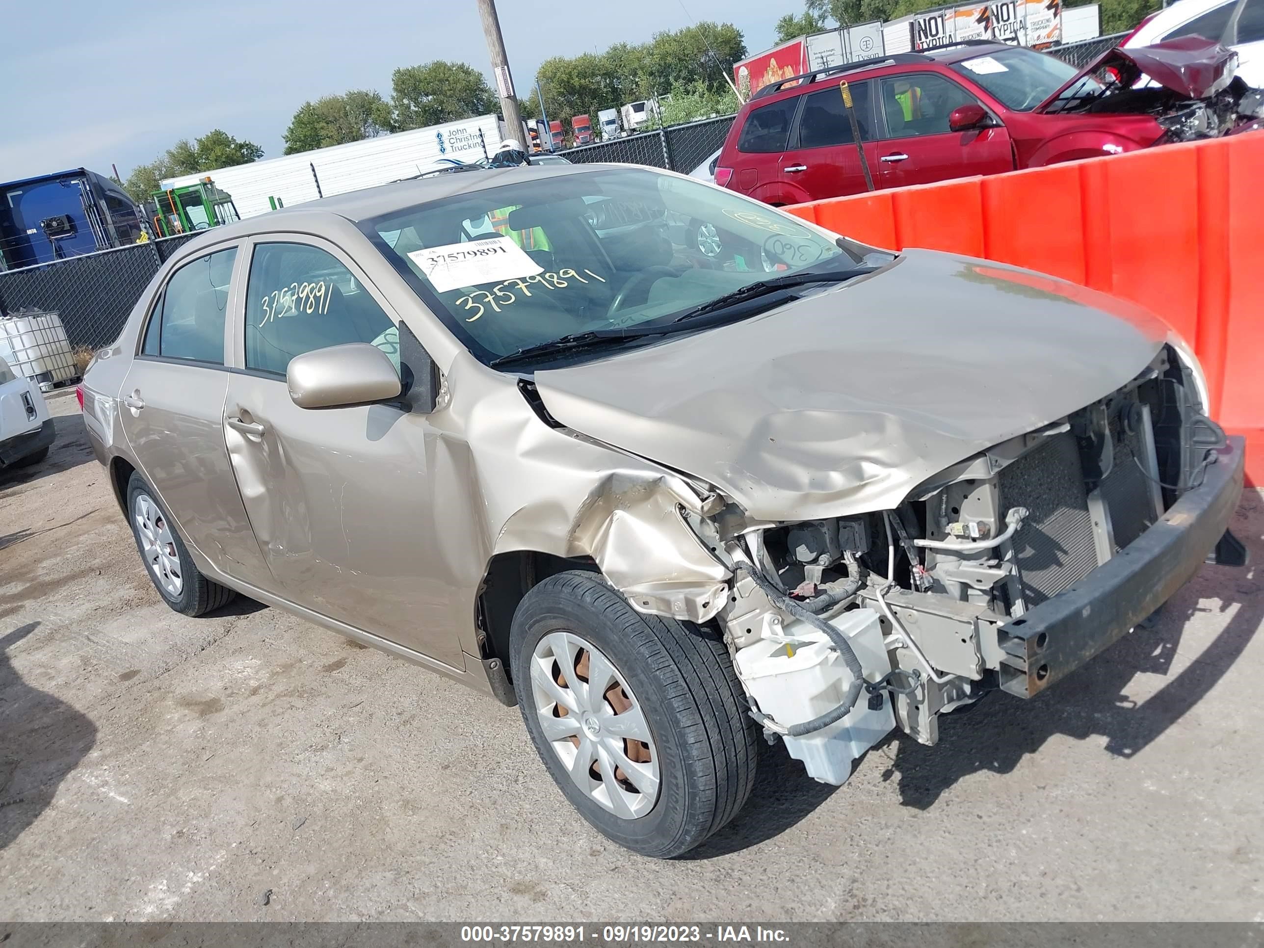 TOYOTA COROLLA 2009 1nxbu40e39z114480