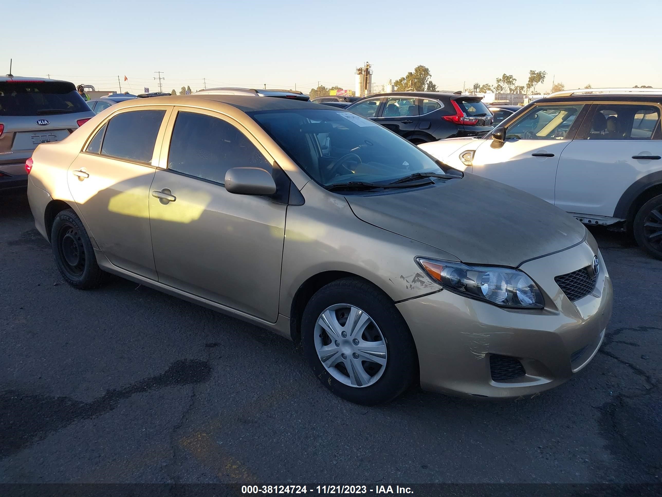 TOYOTA COROLLA 2009 1nxbu40e49z116366