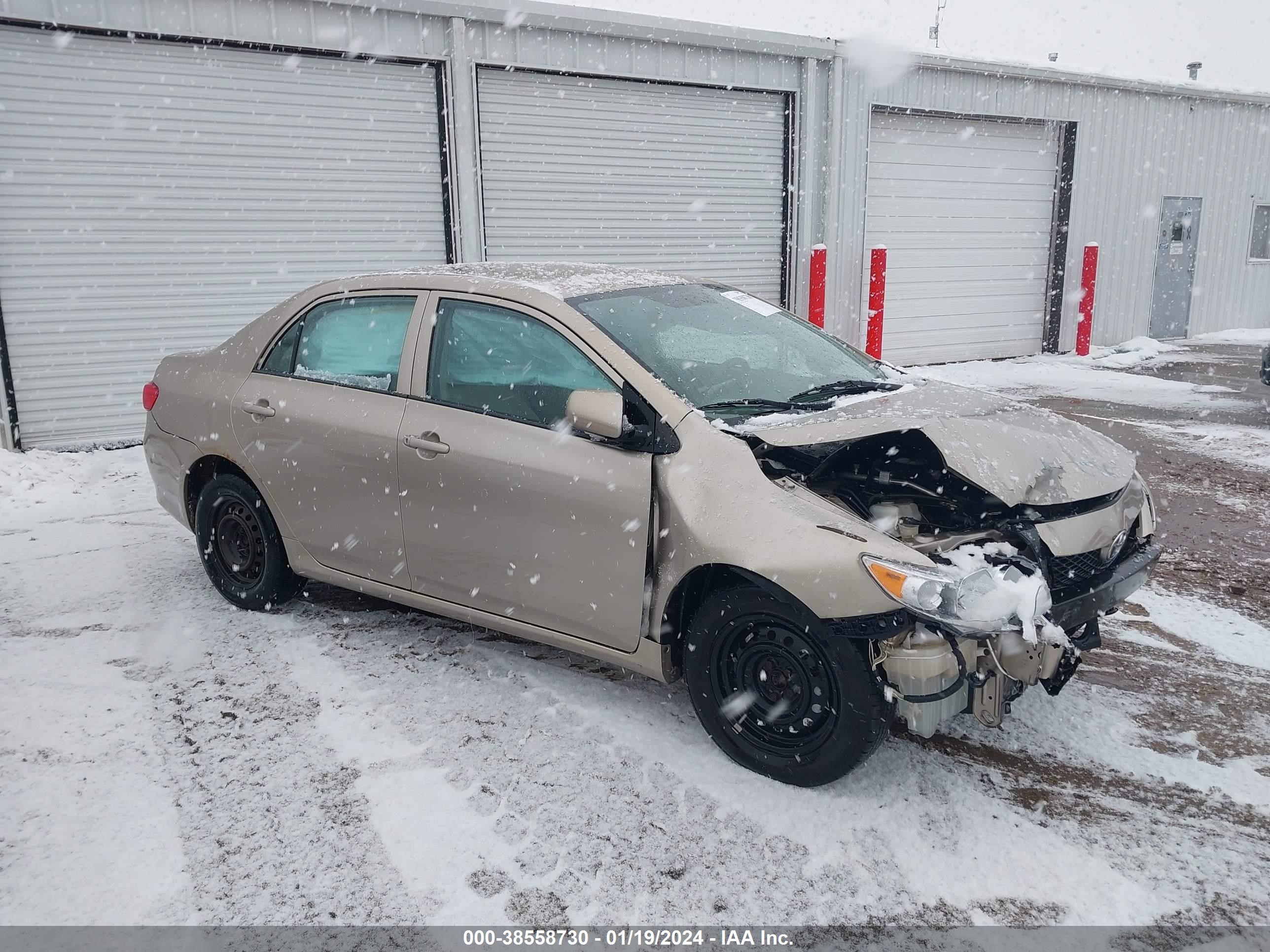 TOYOTA COROLLA 2009 1nxbu40e59z001095