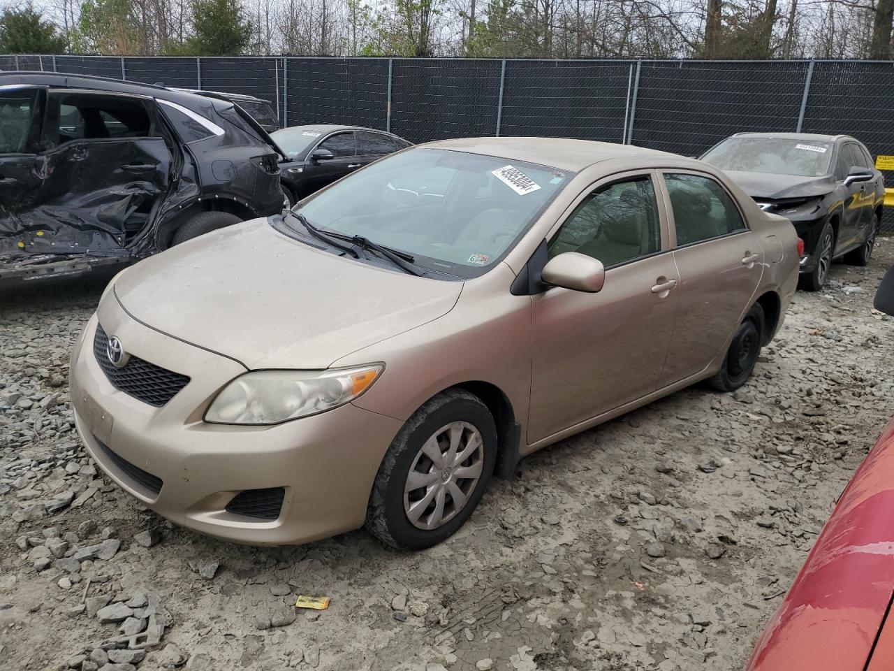 TOYOTA COROLLA 2009 1nxbu40e59z043511