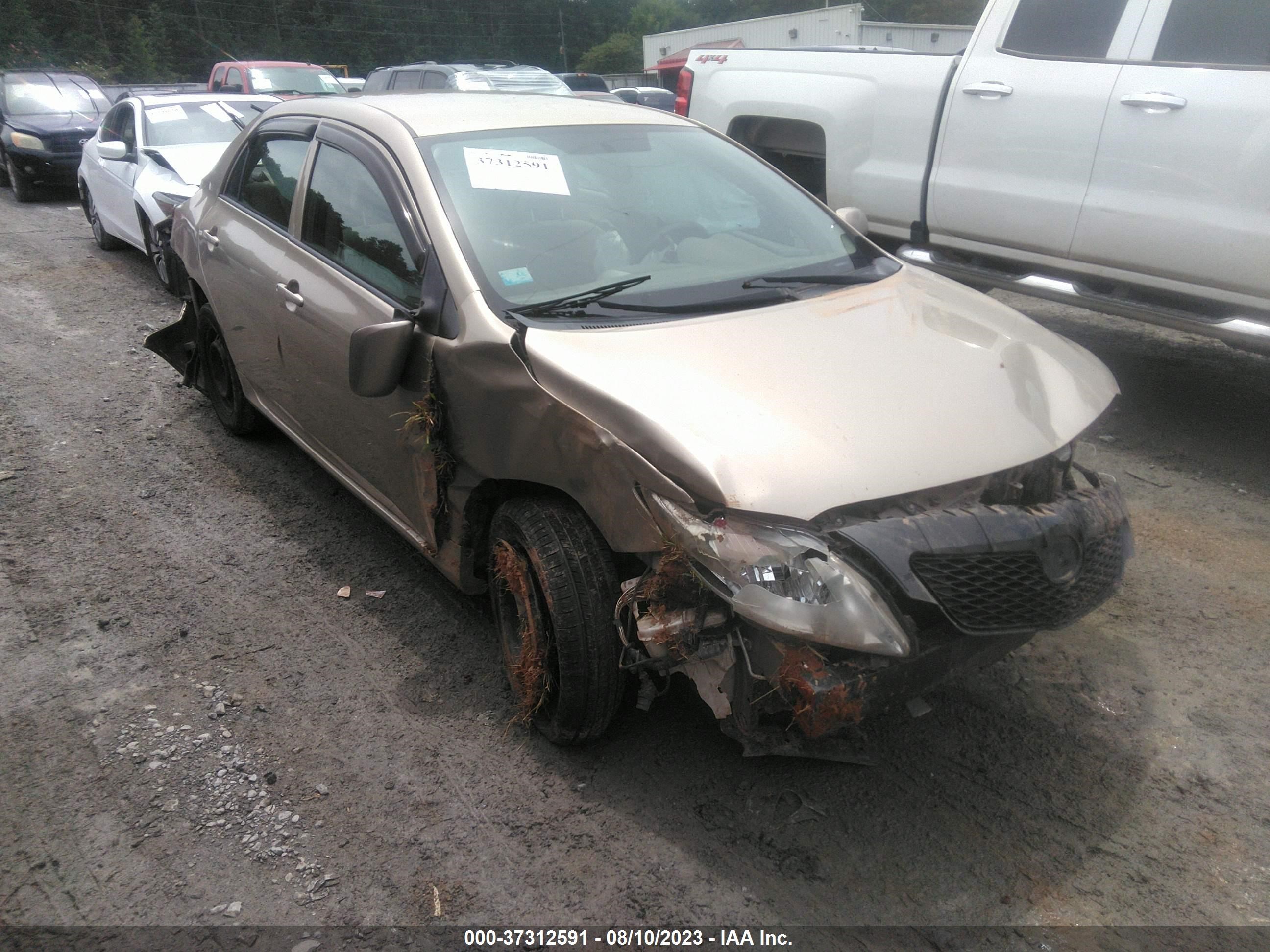 TOYOTA COROLLA 2009 1nxbu40e69z126767