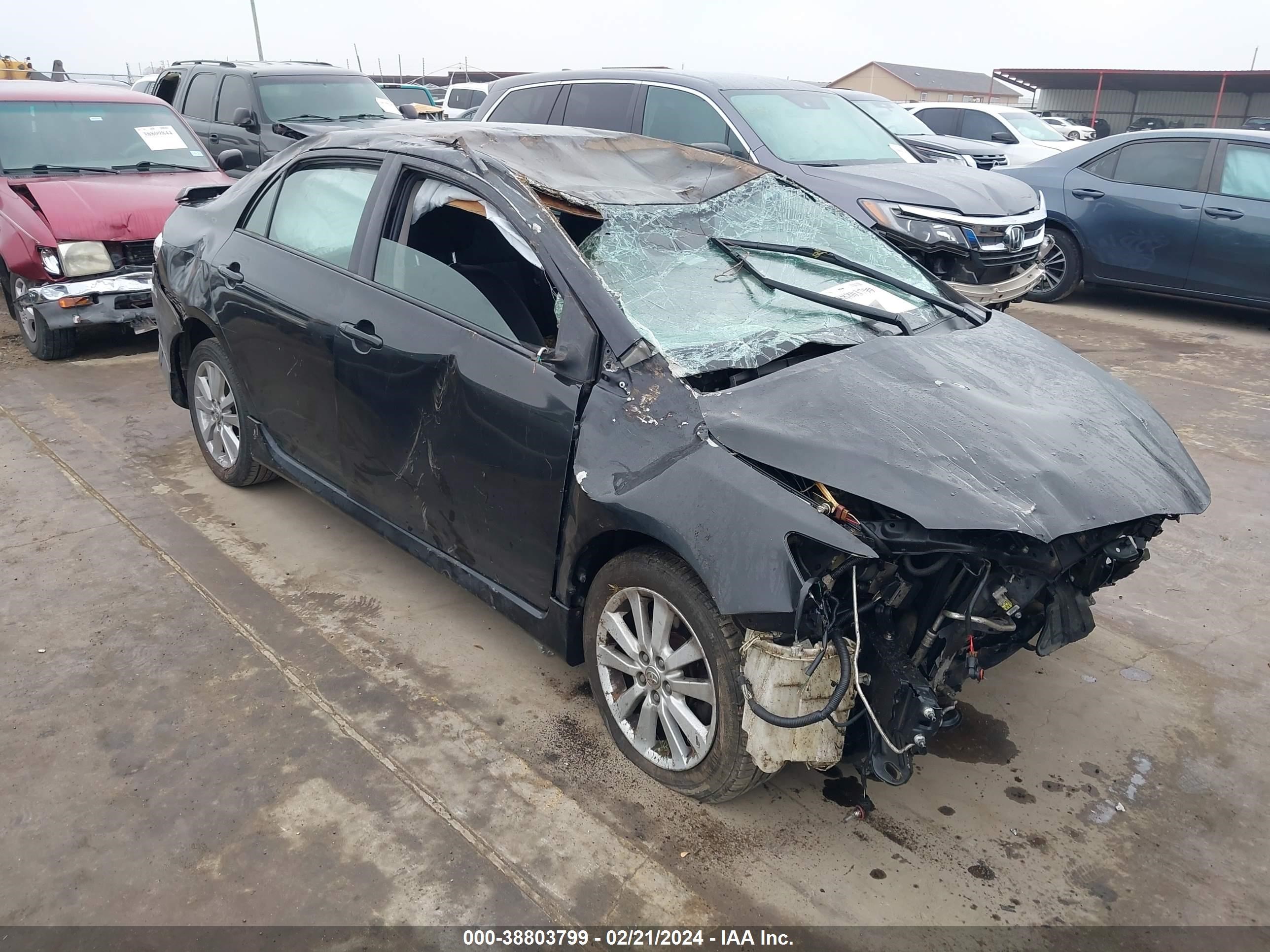 TOYOTA COROLLA 2009 1nxbu40e79z062402