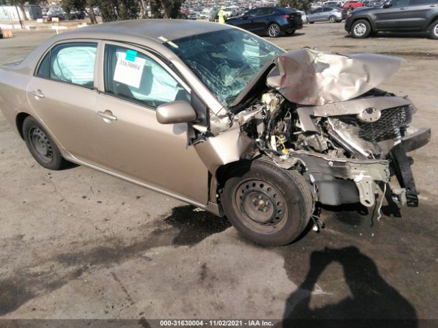 TOYOTA COROLLA 2010 1nxbu4ee0az251454