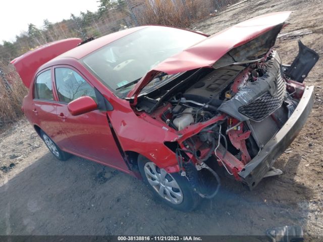 TOYOTA COROLLA 2010 1nxbu4ee1az185903