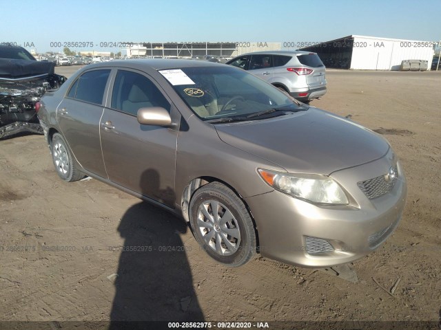 TOYOTA COROLLA 2010 1nxbu4ee1az233853