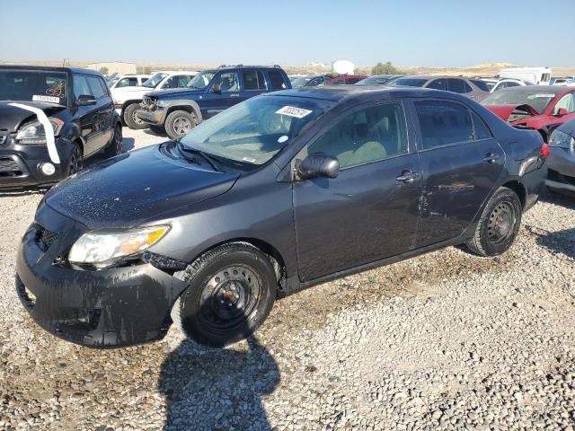 TOYOTA COROLLA BA 2010 1nxbu4ee1az311239